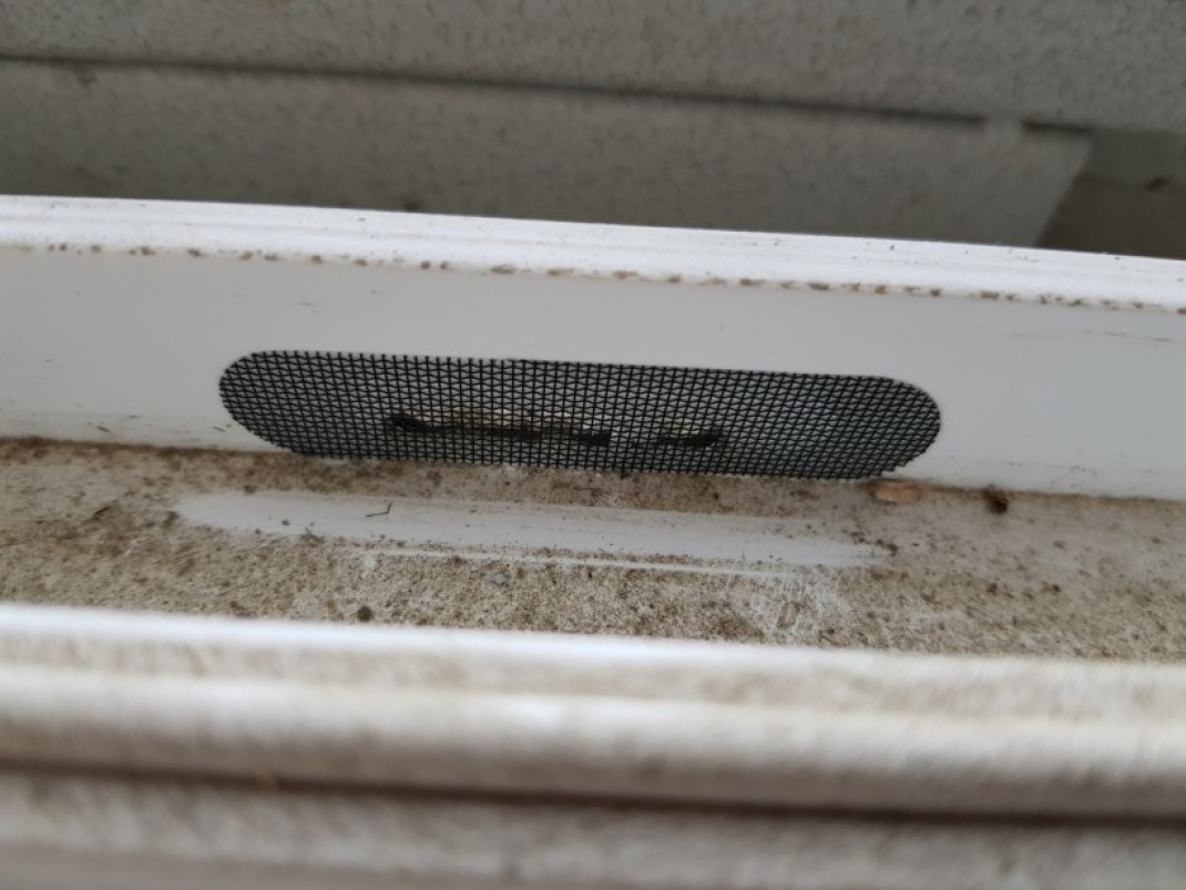 ce59d16bc550cdf407fa1130afb18144_1600842