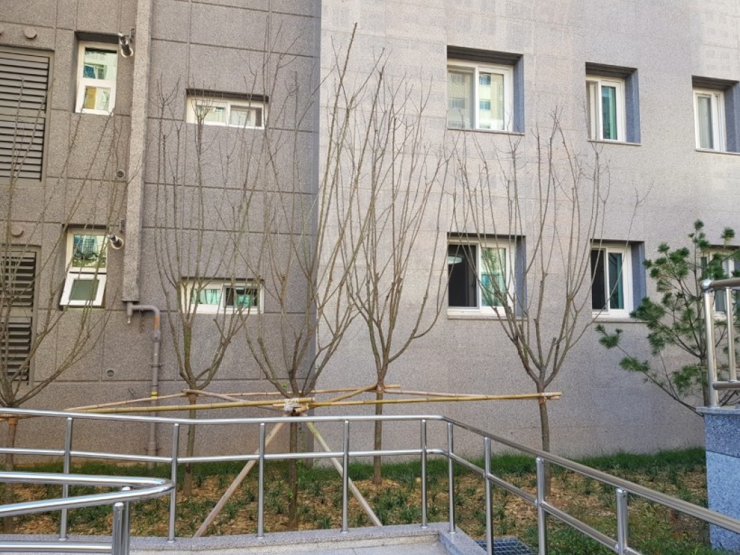 c9e2ac1a3690ea7580672acbaa90fd97_1604023