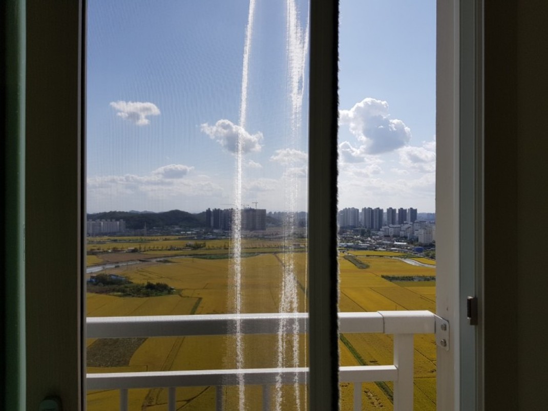 c0f2be775df0cbc72a54afc57ac74b41_1606365