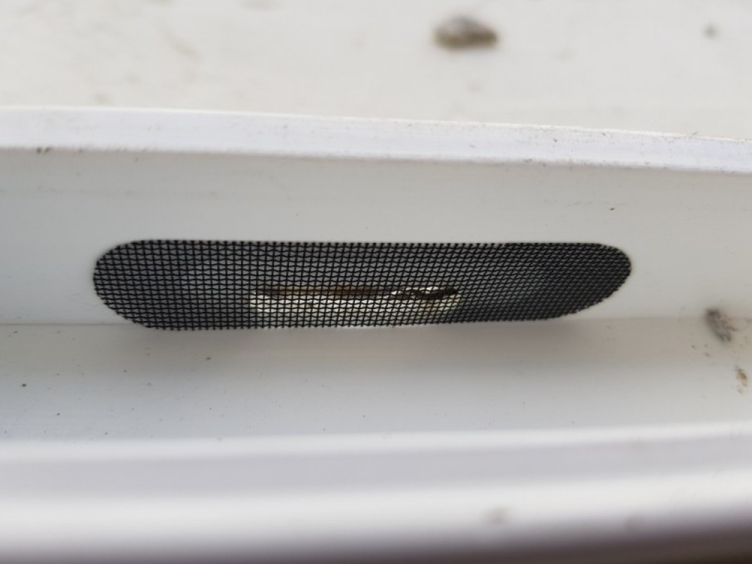 1595f1cd6b4b80bb841c73a522b67d47_1606803