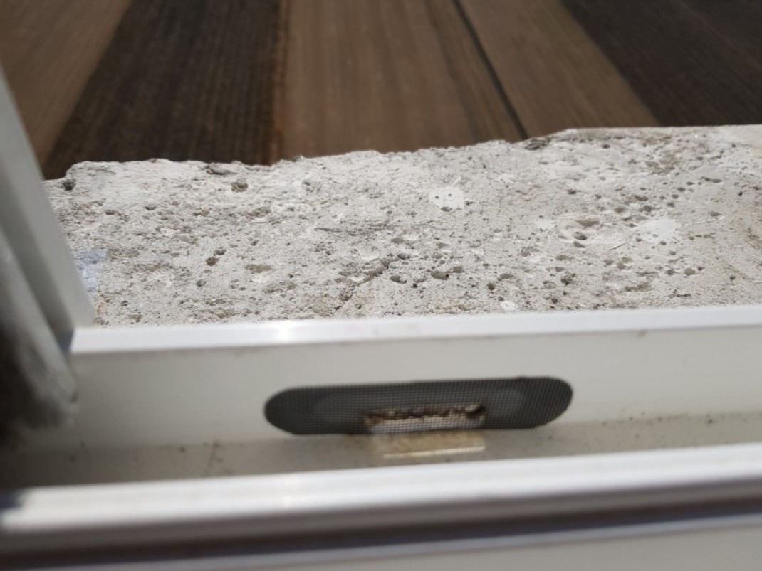 260db45b5efd009c9b2d8feeee9ed497_1610350