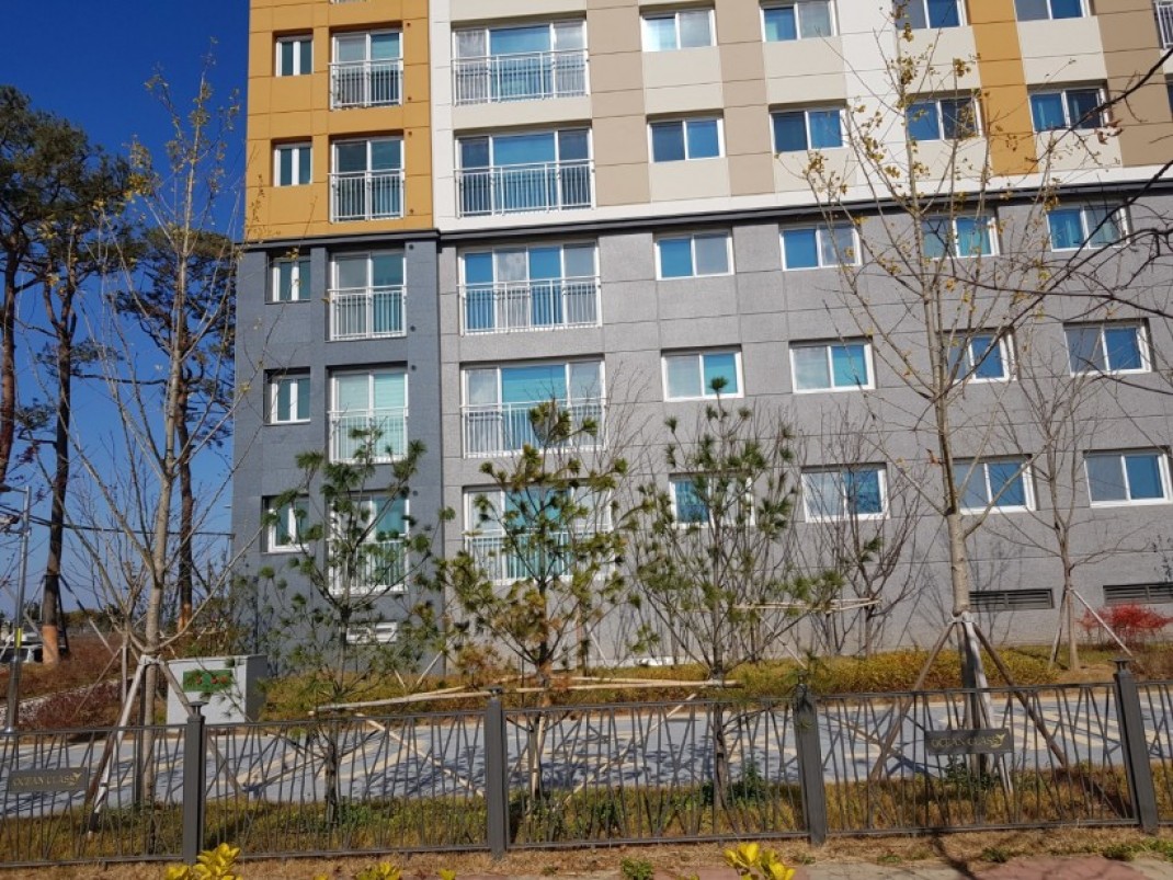 260db45b5efd009c9b2d8feeee9ed497_1610350