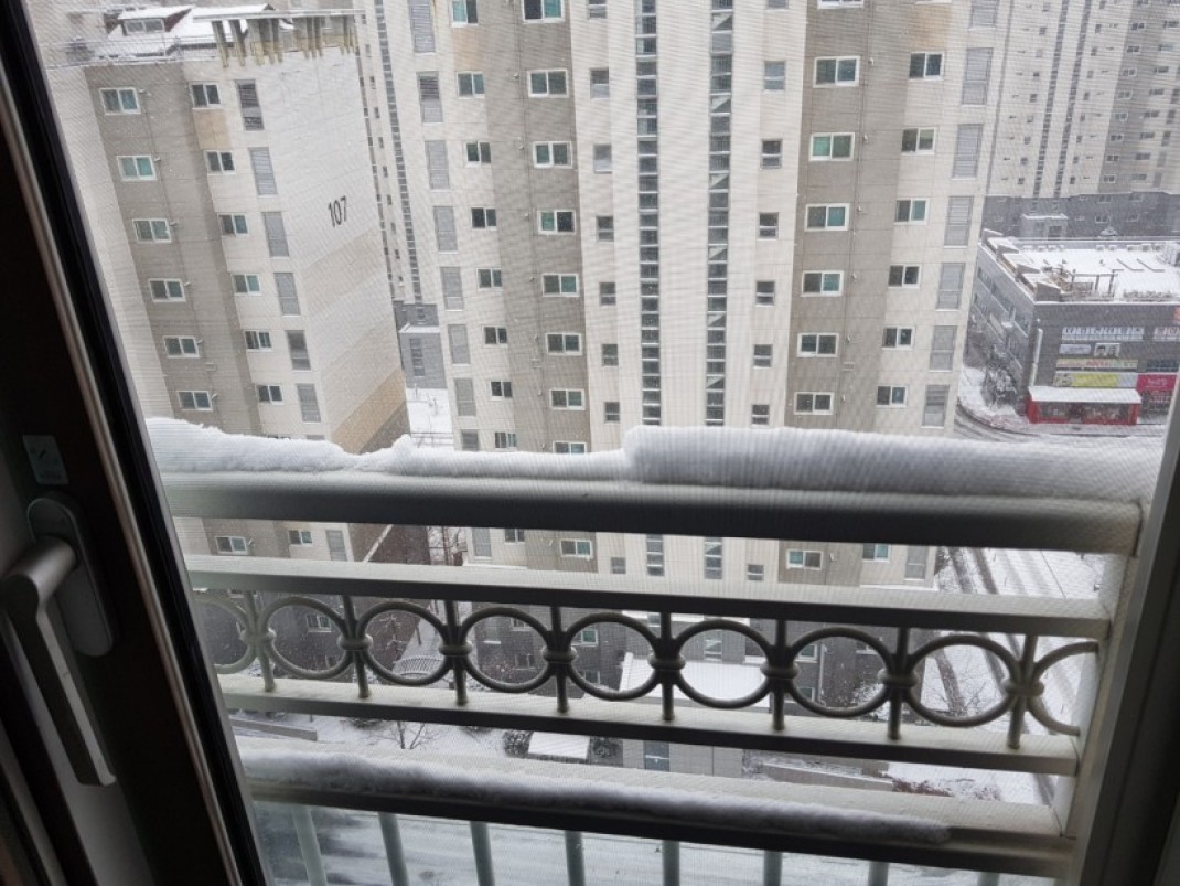 51fe0c573f33fc7b1f9a4a40544c1e8d_1610003