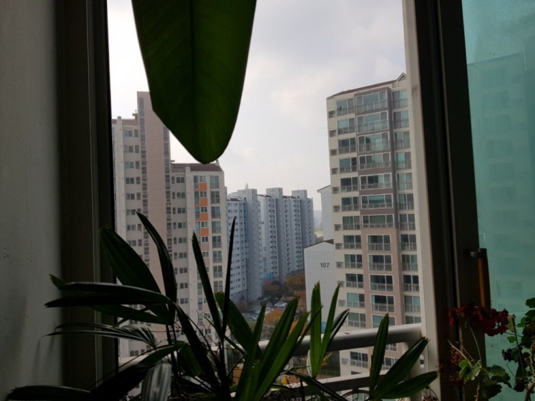 f20247dc870ea38b06257502aef2732a_1611279