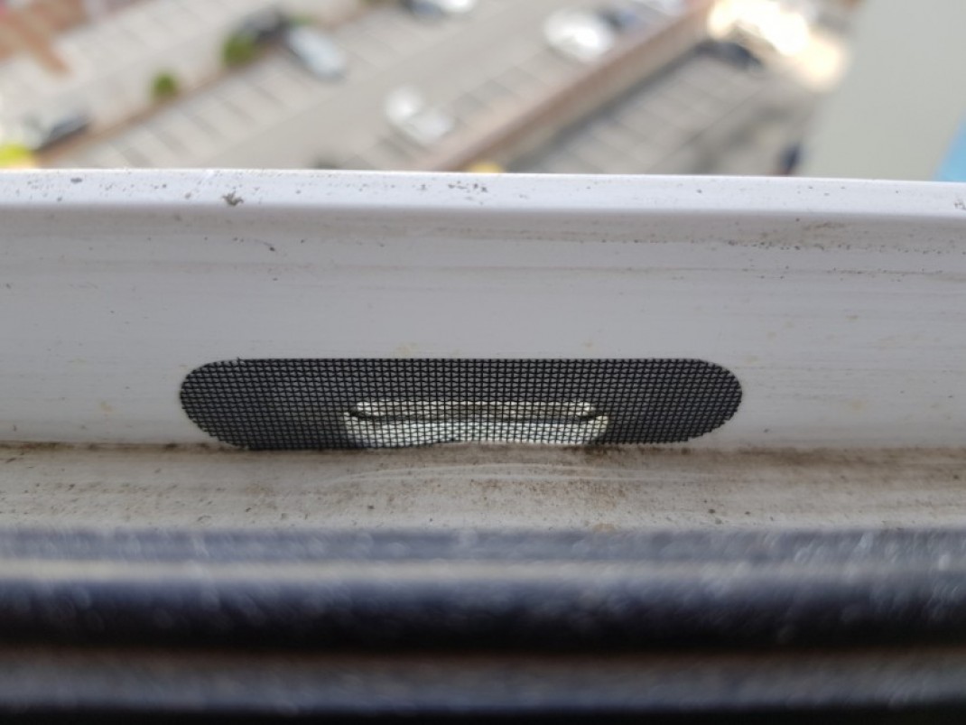 bc8a1fb6908bd25d1bf64fd3e7e72629_1614132