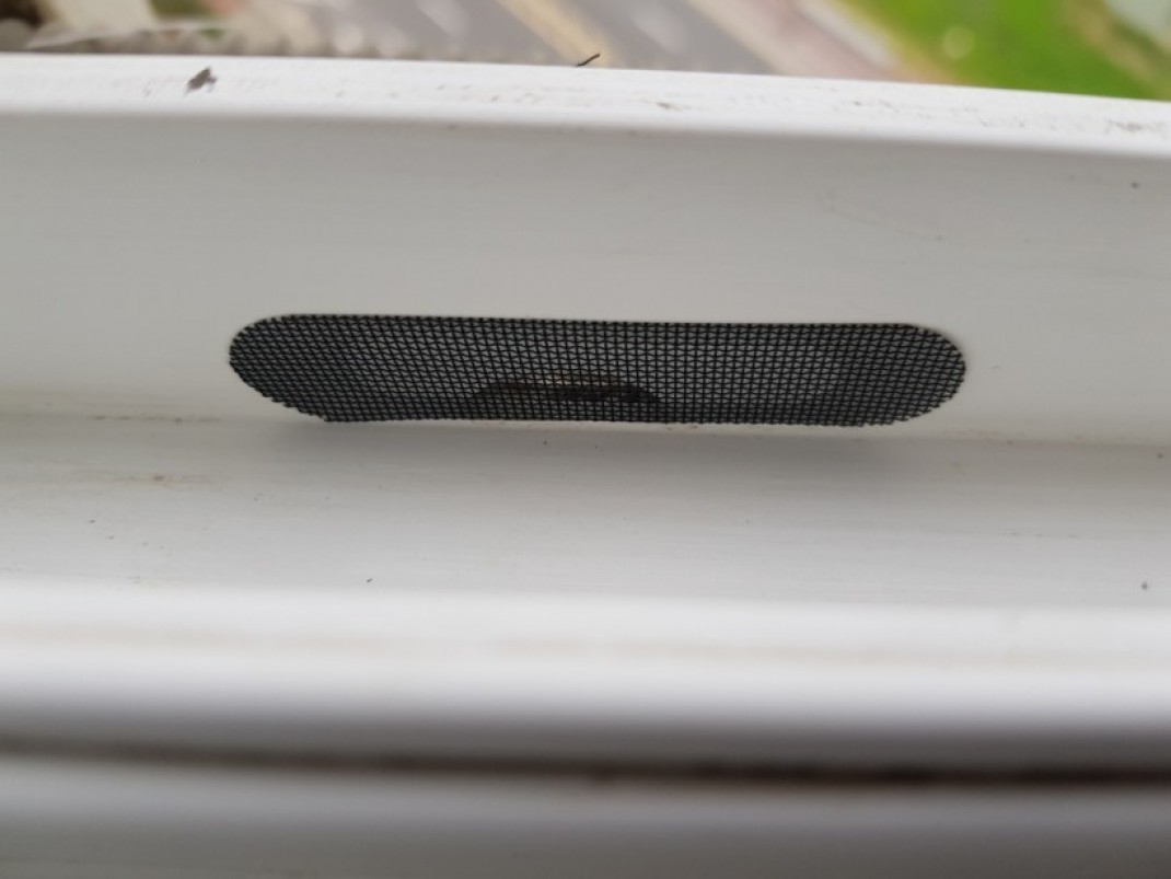 b21e4537ee247c29730278fa264f8dee_1619418