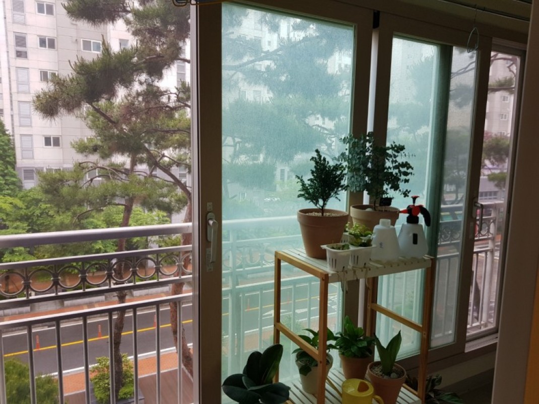 801740d6d46d08aa22e72689a271d3a4_1622092