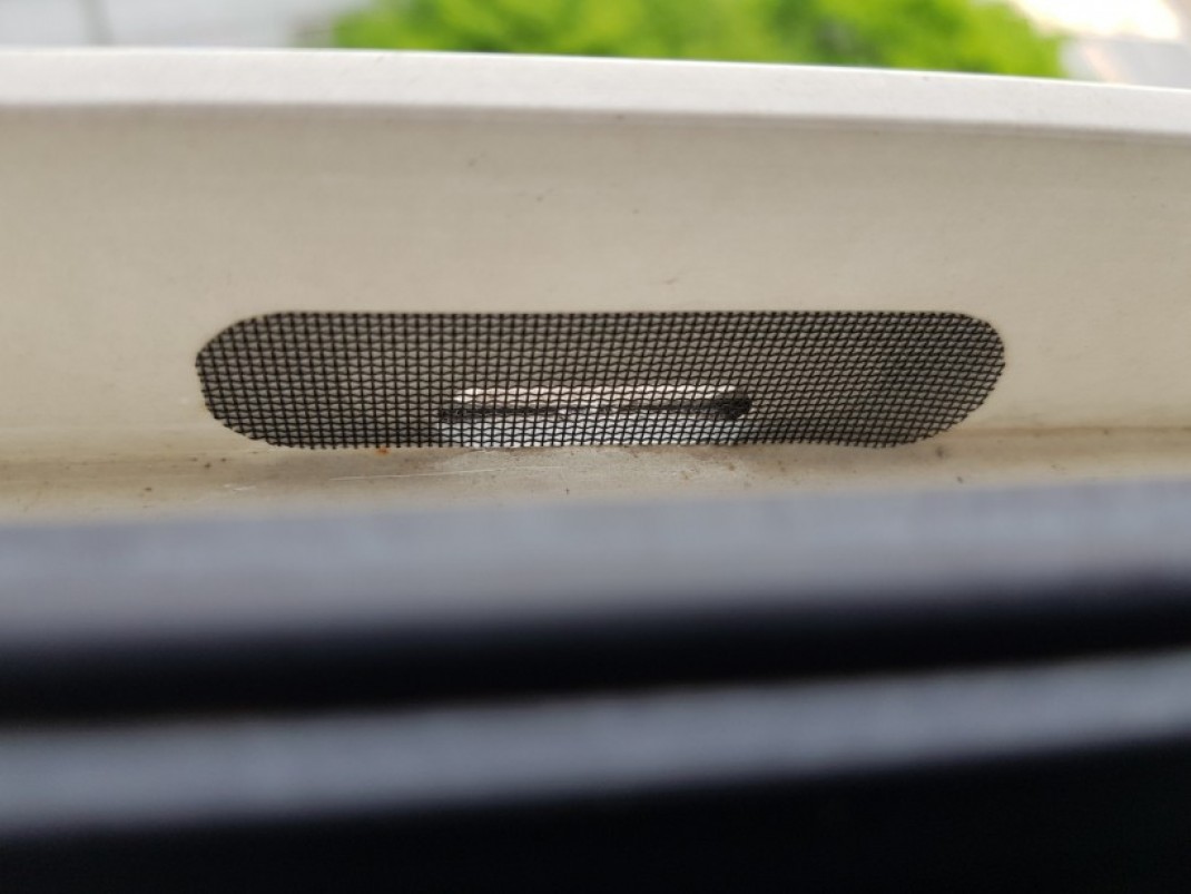 a57863e3e954adbdc8bcf672205bda91_1620891