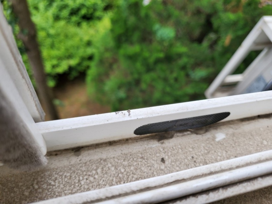 39dc767d36590102678d00af263f01b0_1624348