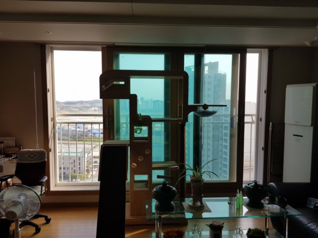 c81b99bc7954f20ee7aa09b522d56040_1623203