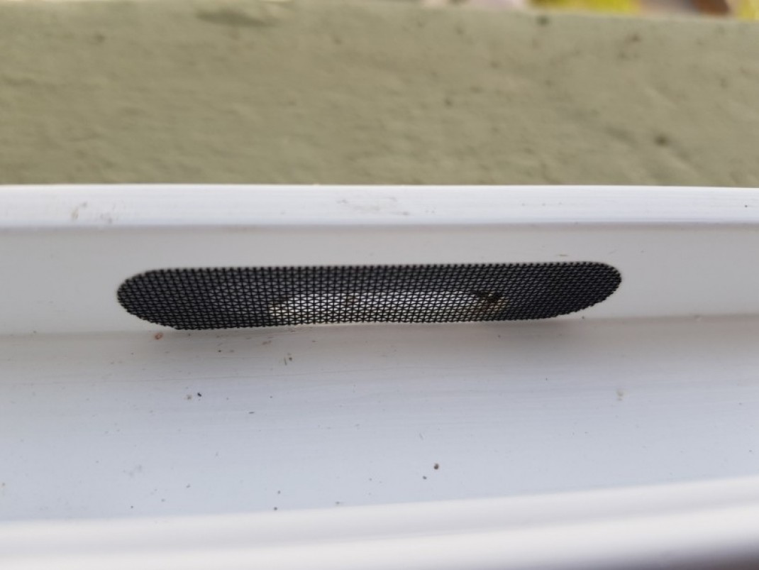 c81b99bc7954f20ee7aa09b522d56040_1623203