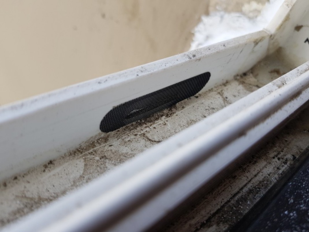 f4796338749880f7e785b0f145e2186e_1623375