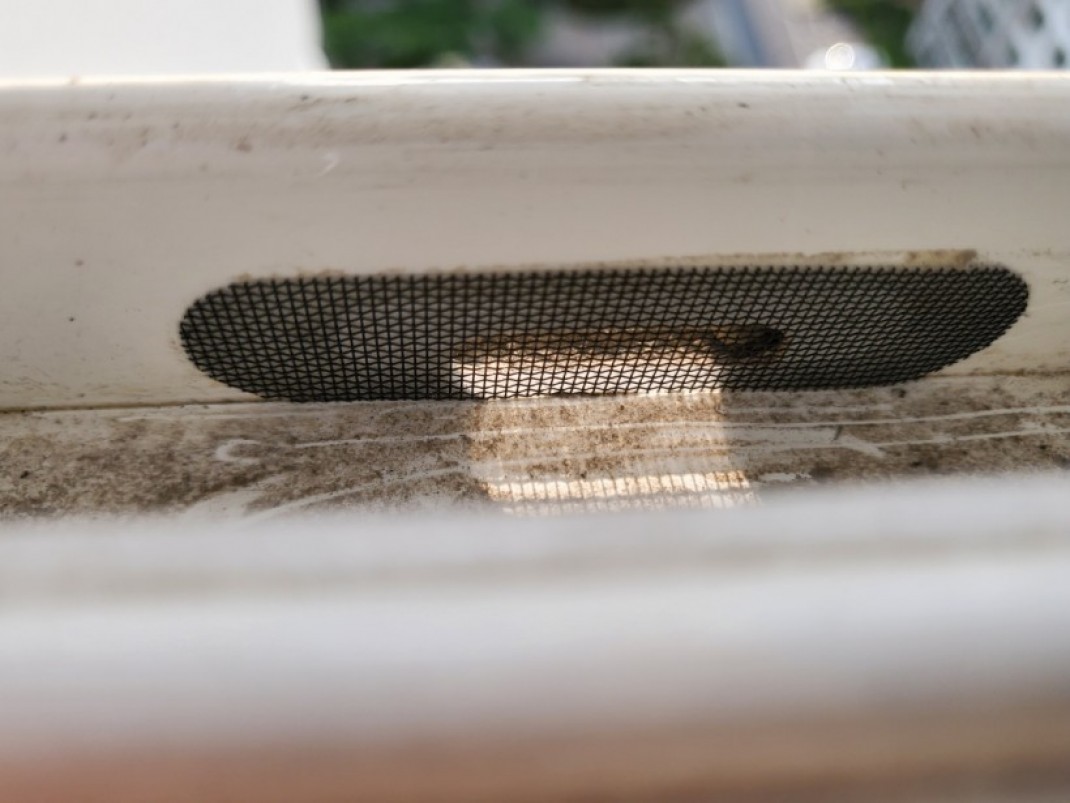 09e8308389593d13aa5b1fc3ed7c6d59_1625793