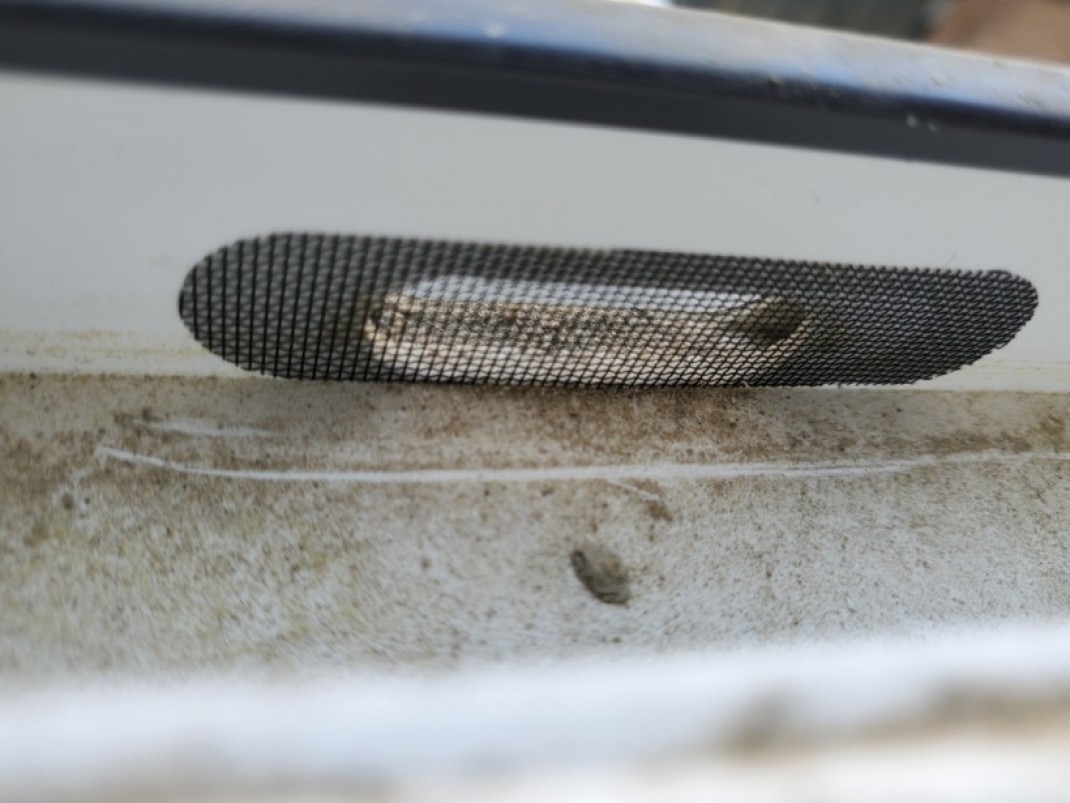 7486ad9c0263199f41d23a10ad6c9204_1625644