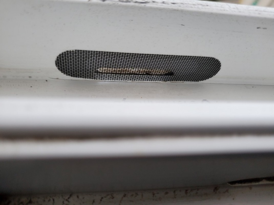 cf32aca6f9d3b317d4aa6367a7175ad3_1626237