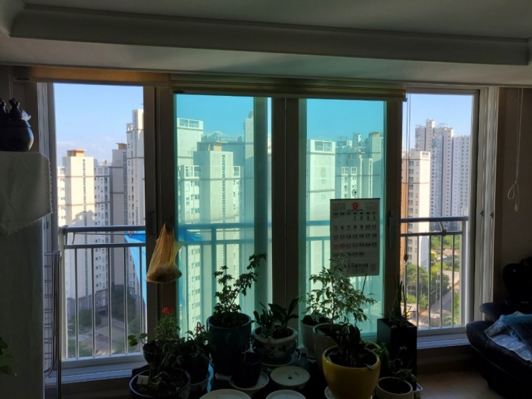 439802fc53cf99c7a0133ebdfa86639a_1633409