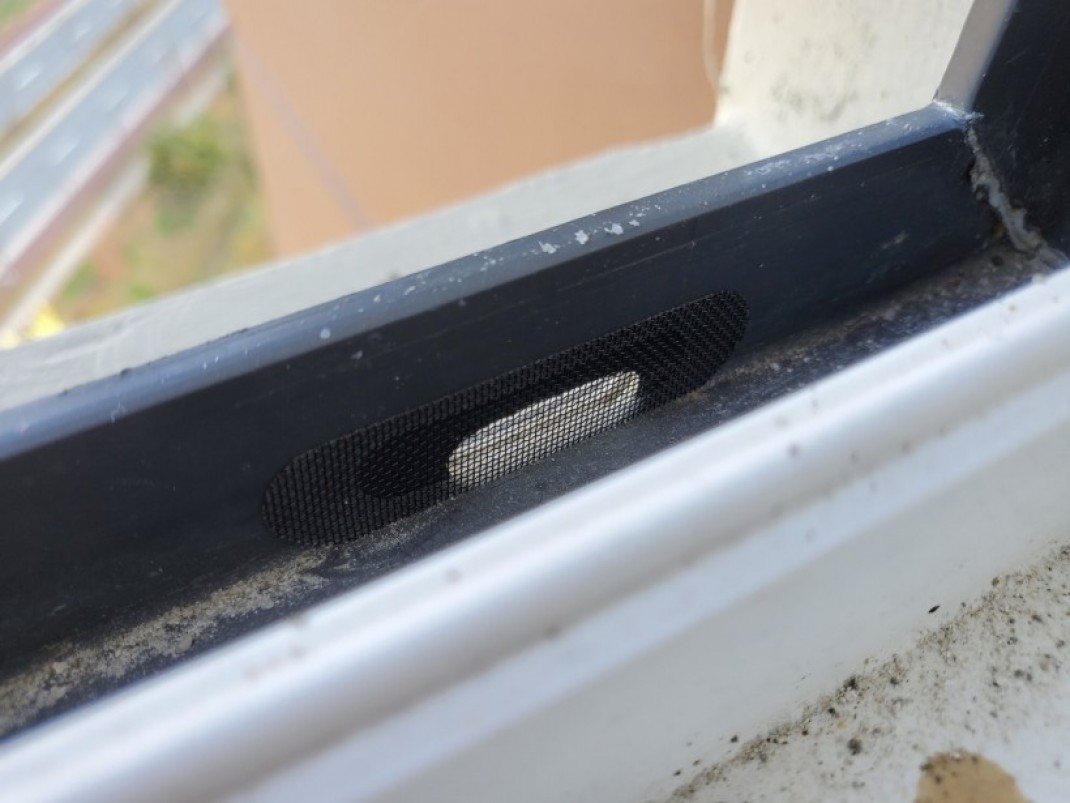 d9fd86c354ba6a79e24caff5d807121c_1637561