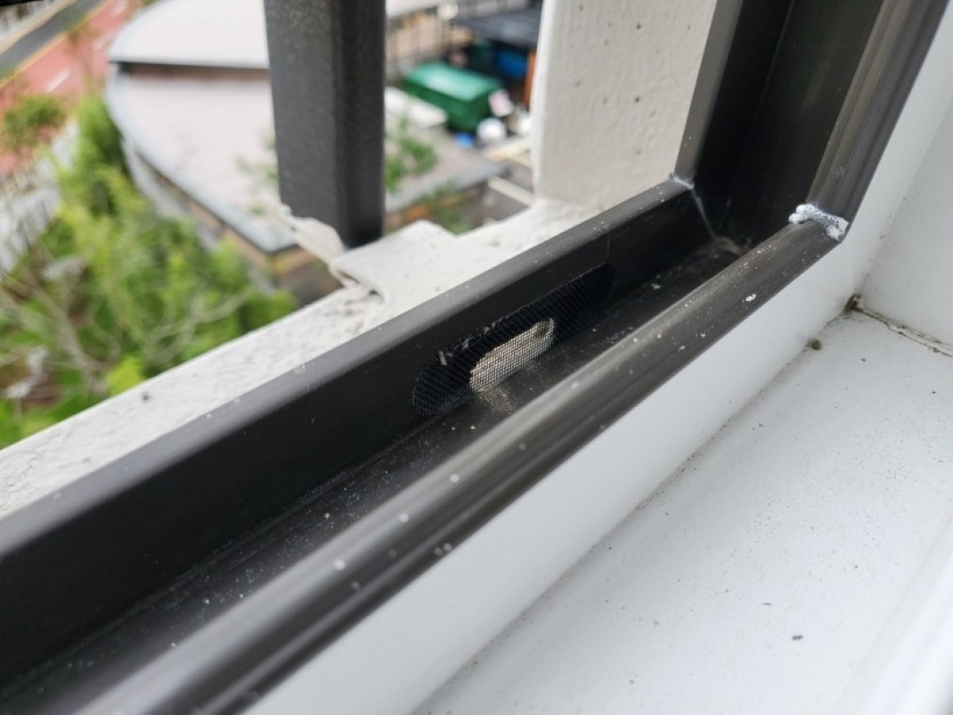 d9fd86c354ba6a79e24caff5d807121c_1637561