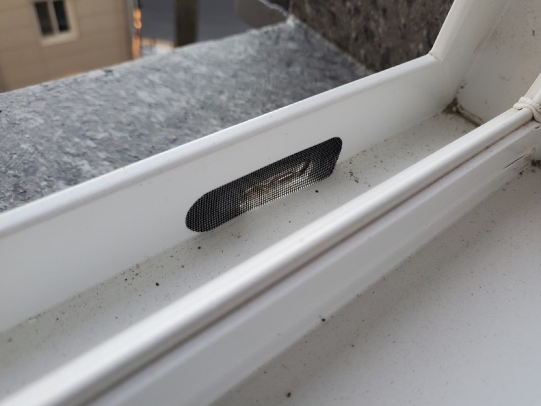 f70f6cade5bf3160dd0c1f56c311538e_1636001