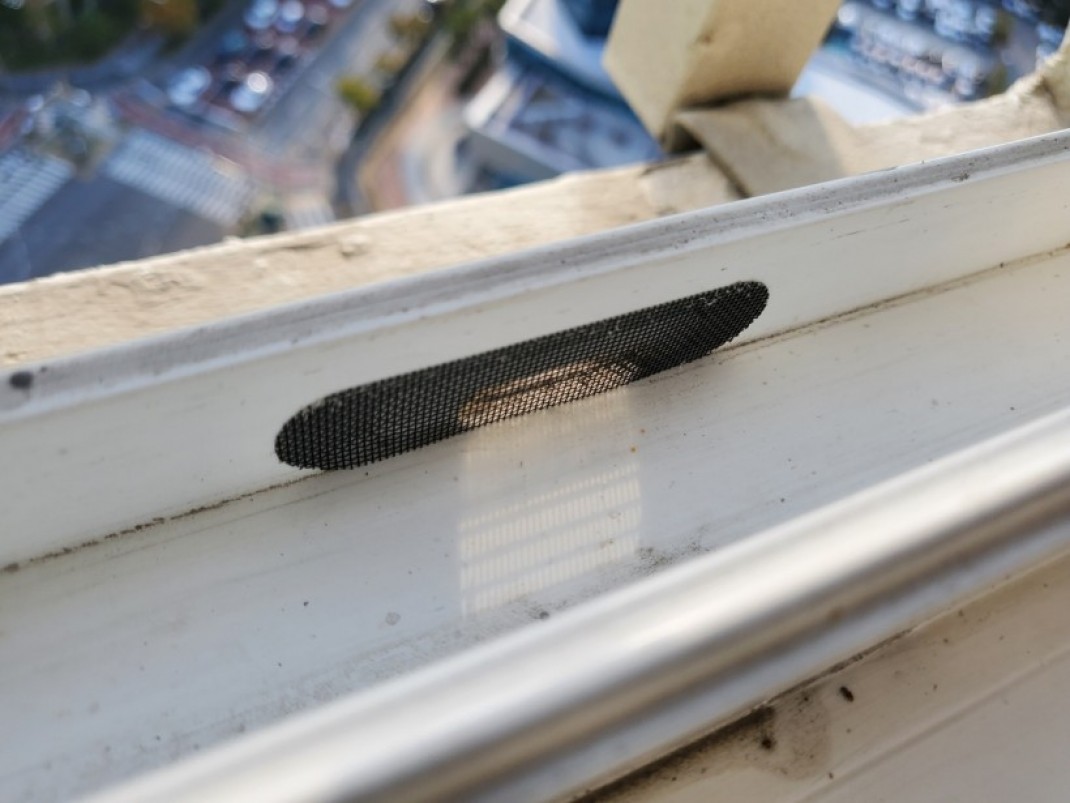 26c67522ab1c4412152c6a5cbfef081e_1640145