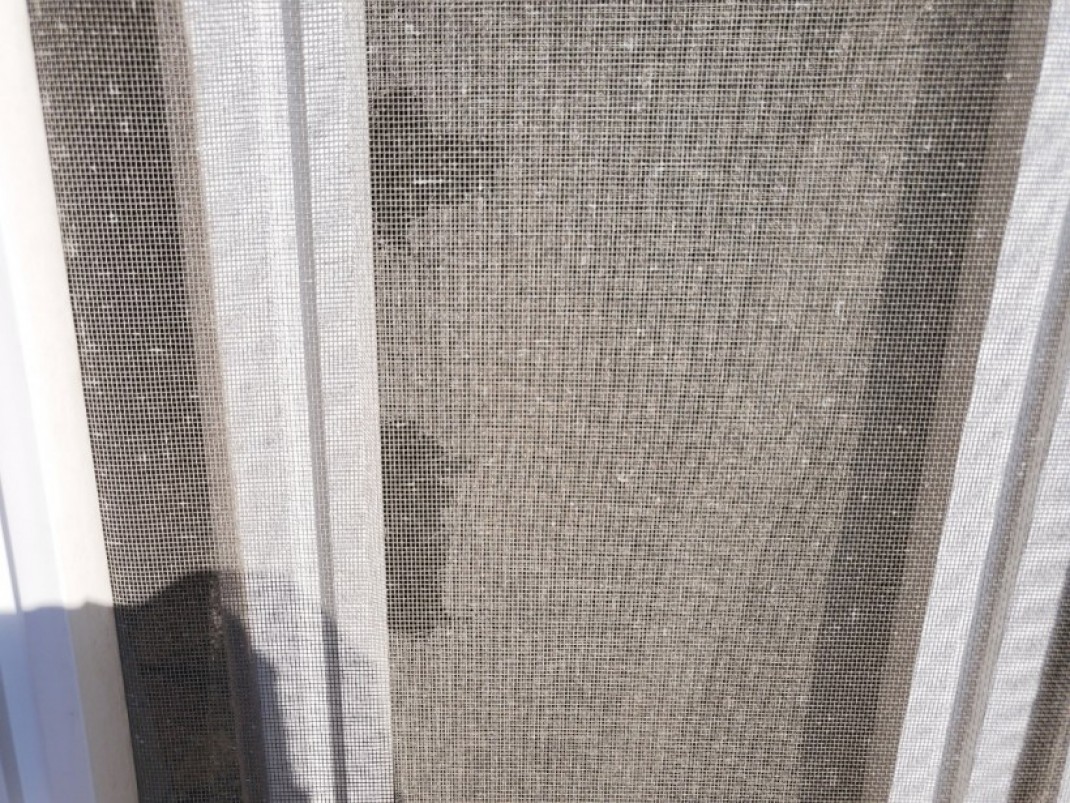 eef1ce3b91a320f3b7825bda58a1b527_1638494