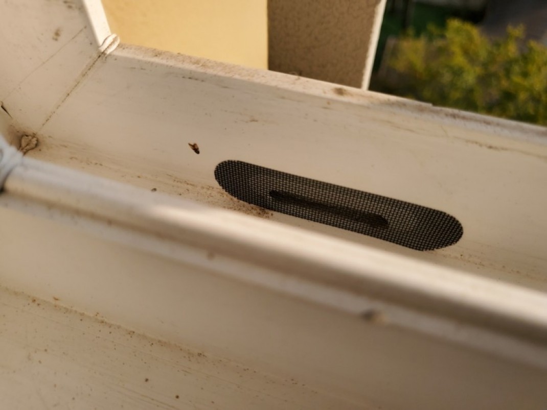 eef1ce3b91a320f3b7825bda58a1b527_1638494